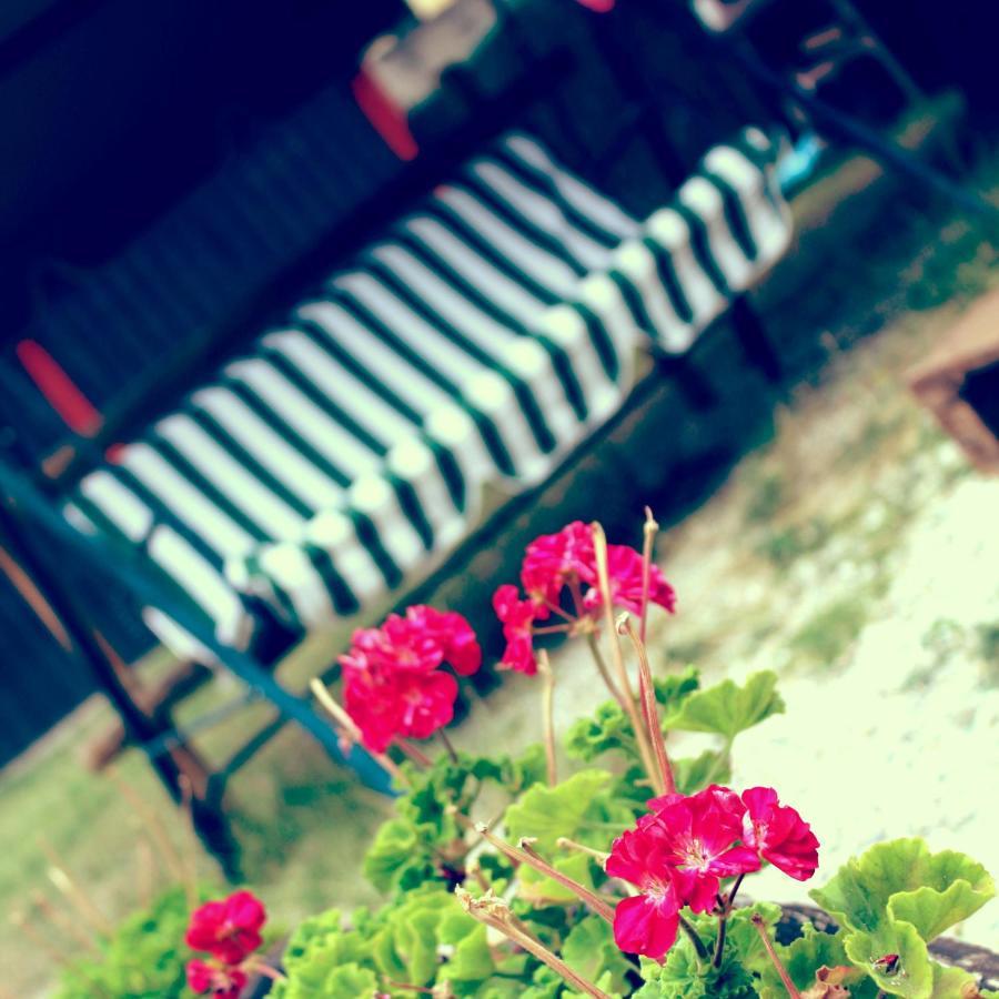 B&B Red House Garlate Exteriér fotografie